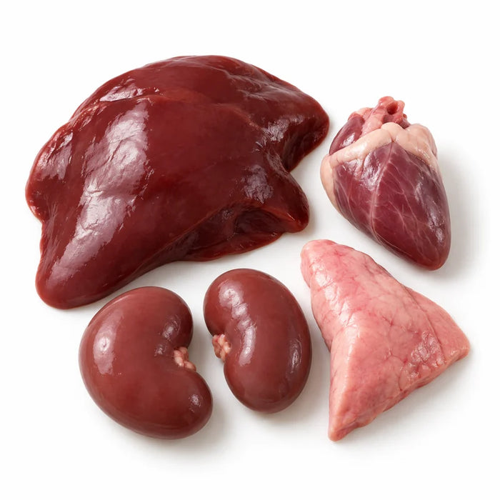 Rabbit organs