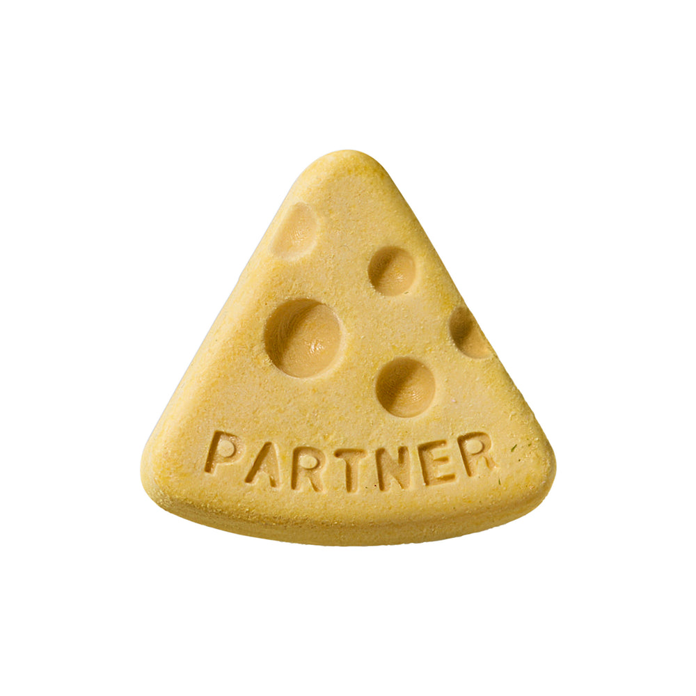 Actual Cheese Block treat on a white background.