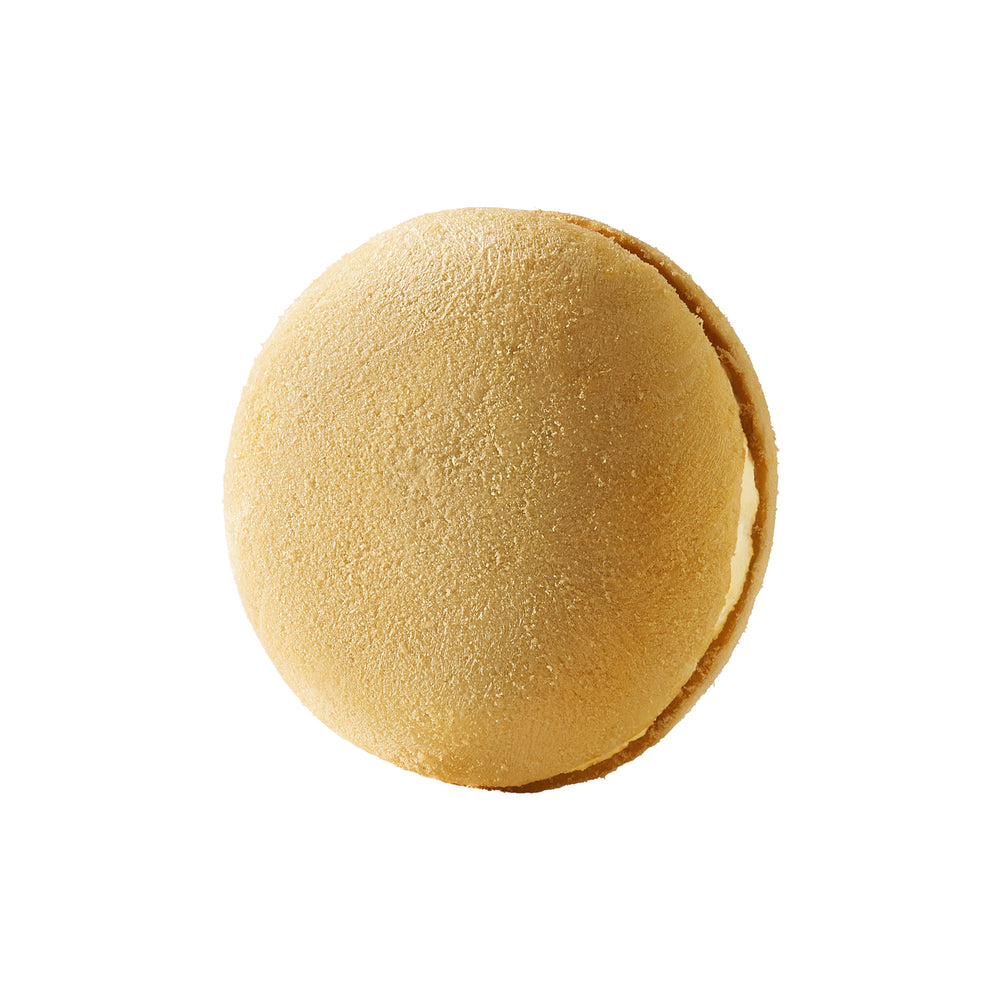 Actual Macaron treat on a white background.
