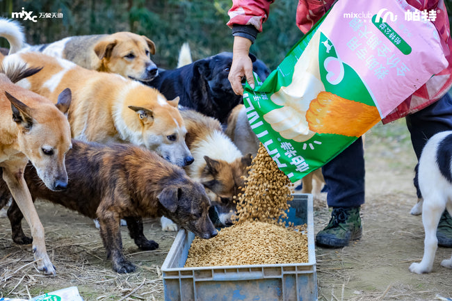 Care beyond the bowl