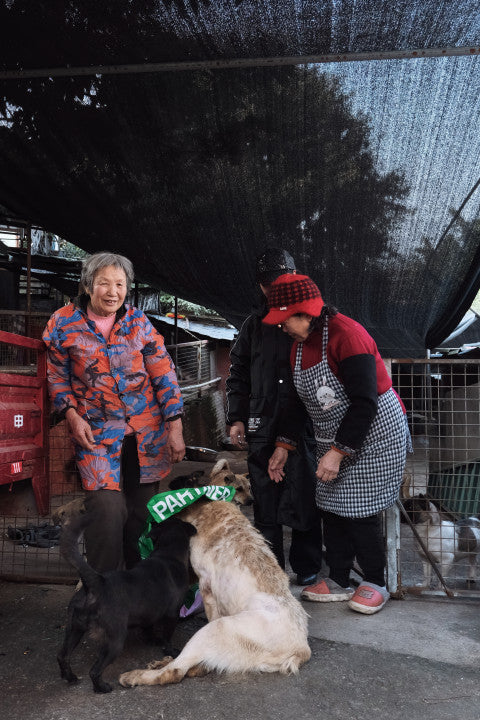 Caregivers and a dog, photographed during a PARTNER community-care activity in China.