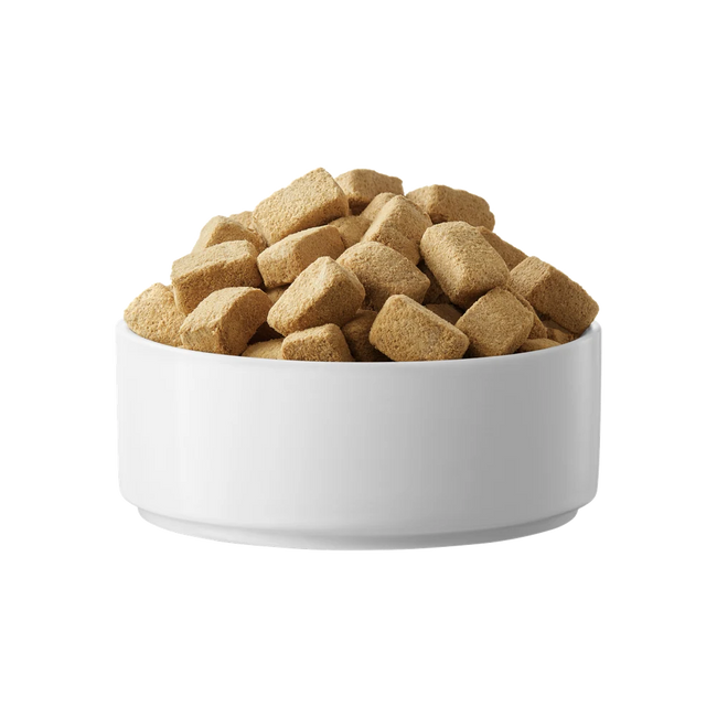 Raw food for cats