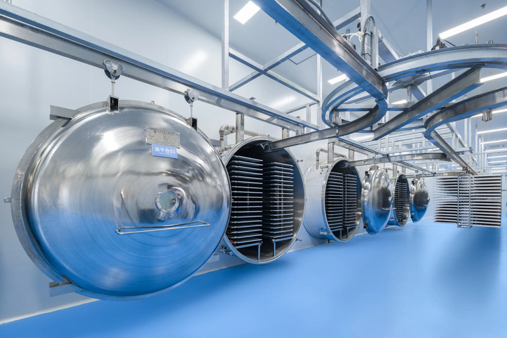 Freeze-drying equipment on the production floor.