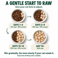 Gradual transition: days 1–4 10% new food, days 5–9 30%, days 10–14 60%, day 15 onward 100%